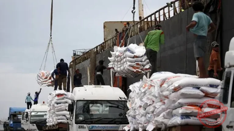 Perbedaan Proteksi dan Kuota Impor dalam Ekonomi